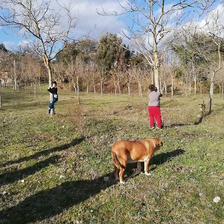 Farma Agriturismo La Grande Quercia *