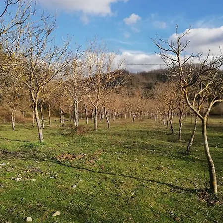 Agriturismo La Grande Quercia