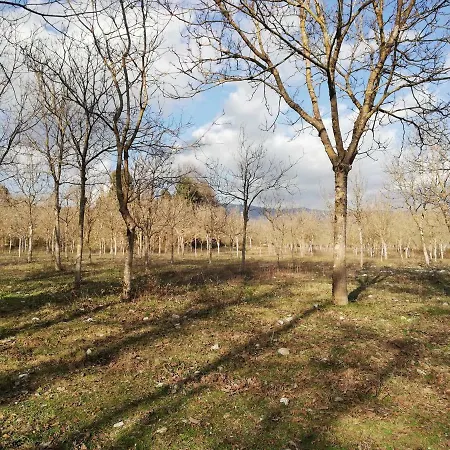 Agriturismo La Grande Quercia Laino Borgo