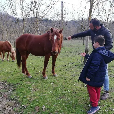 Agriturismo La Grande Quercia * Laino Borgo